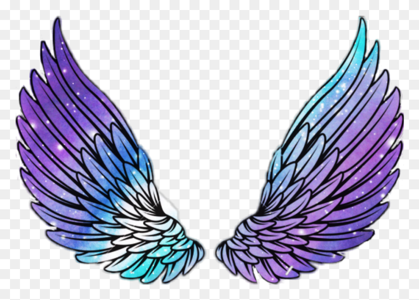 920x640 Wings Angel Angelwings Space Galaxy Stars Star Wing Vector Image Of Wings, Bird, Animal, Jay HD PNG Download