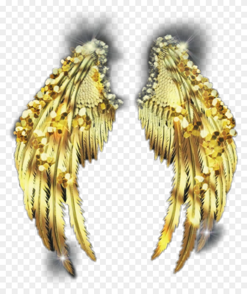 1024x1234 Крылья Ангела Золотые Золотые Крылья Блестящие Блестящие Серьги С Блестящими Крыльями, Бронза, Ананас, Фрукты Png Скачать