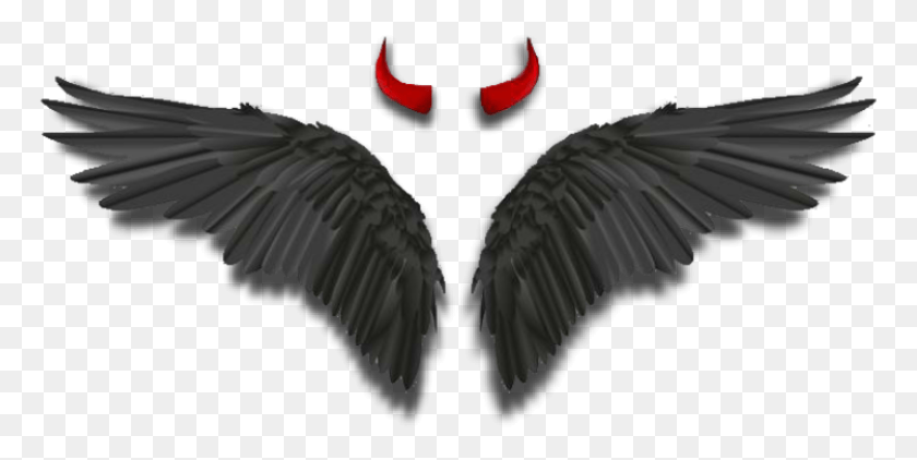 769x362 Wings Angelwings Darkangel Devil Horns Black Eagle, Animal, Bird, Waterfowl HD PNG Download