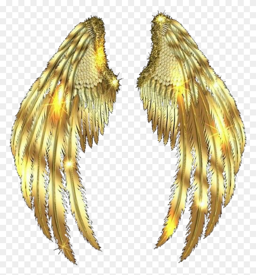 869x942 Wings Asas Gold Golden Ouro Dourada Lucianoballack Серьги, Птица, Животное, Насекомое Png Скачать