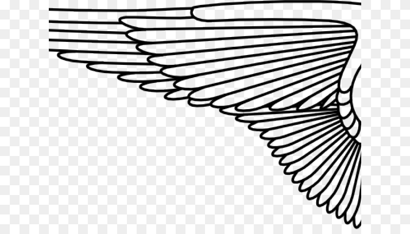 Wings Clipart Line Art, Animal, Bird, Flying PNG
