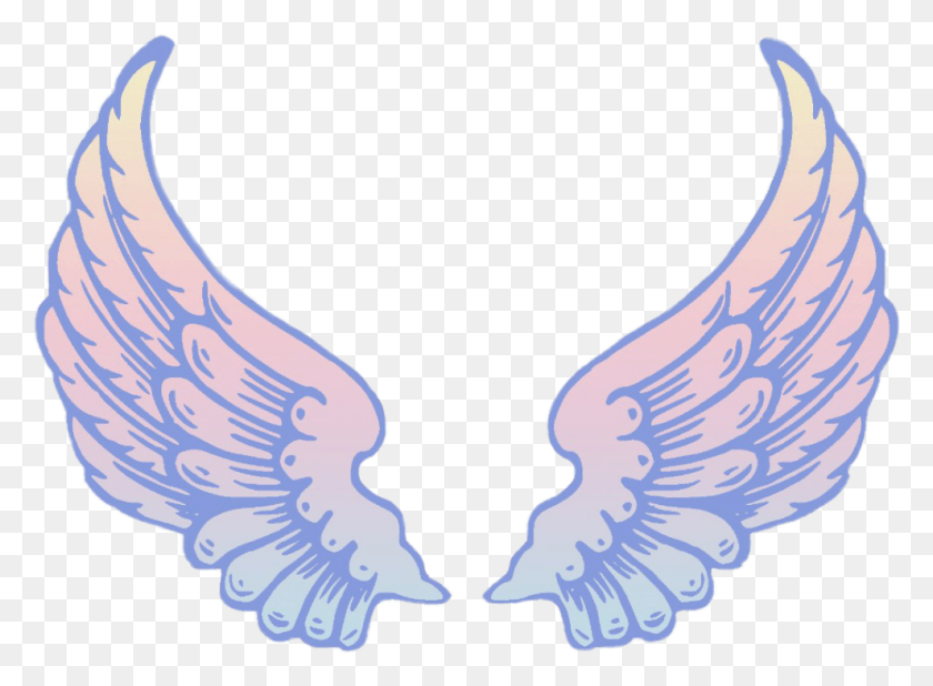 990x709 Wings Fly Free Freedom Blue Purple Tumblr Sky Angel Wings Clipart Transparent, Bird, Animal, Eagle HD PNG Download