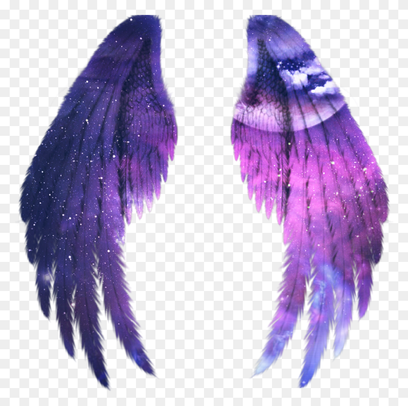 940x937 Wings Galaxy Alas Fairy Black Angel Wings Transparent, Clothing, Apparel, Purple HD PNG Download