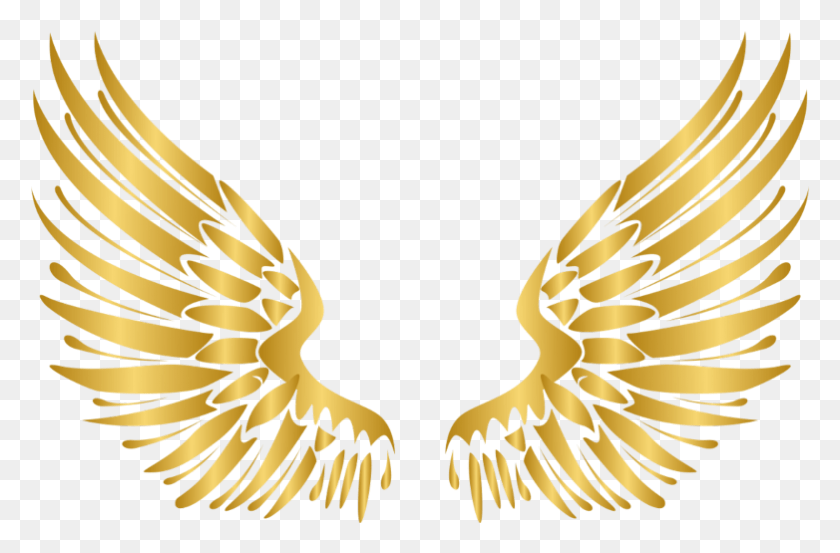 782x495 Wings Gold Wing Angel Angels Angelwings Angelwing Golde Transparent Wings Vector, Banana, Fruit, Plant HD PNG Download