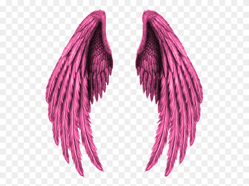 535x566 Wings Pink Freedom Freetoedit Gold Angel Wings, Purple, Accessories HD PNG Download