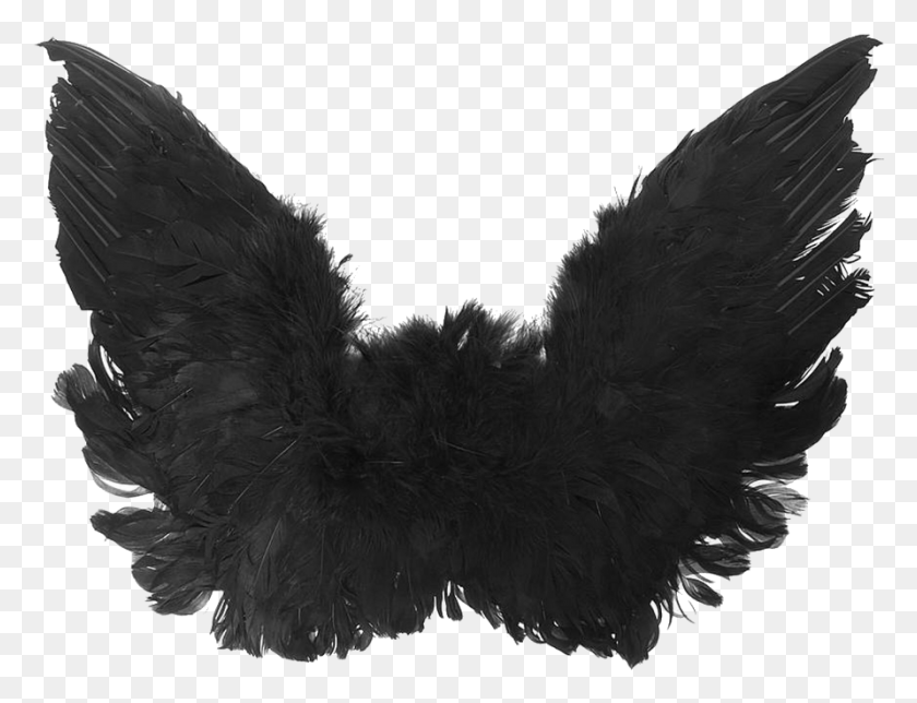 891x668 Wings Sticker Black Angel Wings, Clothing, Apparel, Bird HD PNG Download