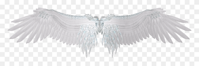 1266x357 Wingwhitefeatherangel Wingsfree Pictures Free Silhouette Angel, Archangel HD PNG Download