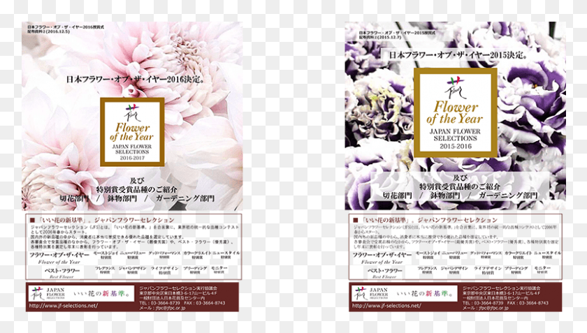 801x429 Winners Varieties Introduction Book Chinese Peony, Advertisement, Poster, Flyer HD PNG Download