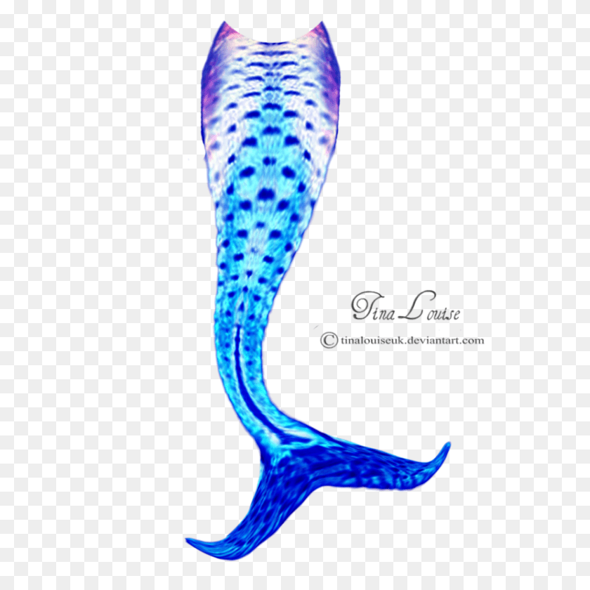 894x894 Winsome Mermaid Tail Mermaid Tail Monogram Seashell Monogram, Animal, Fish, Sea Life Clipart PNG