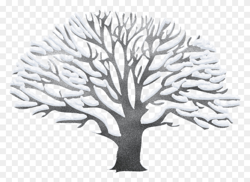 1198x852 Зима, Растение, Дерево, Коврик Hd Png Скачать