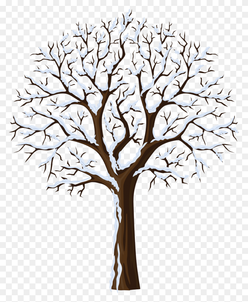 1036x1280 Winter Clip Art Photo And Jpg Bare Tree With Snow Clipart, Tree, Plant, Nature HD PNG Download