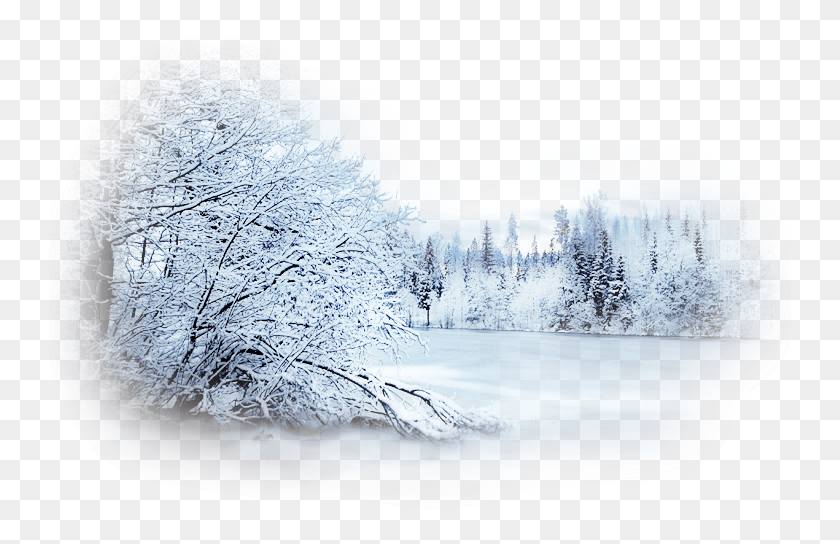 743x484 Winter Forest Snow, Nature, Outdoors, Scenery HD PNG Download