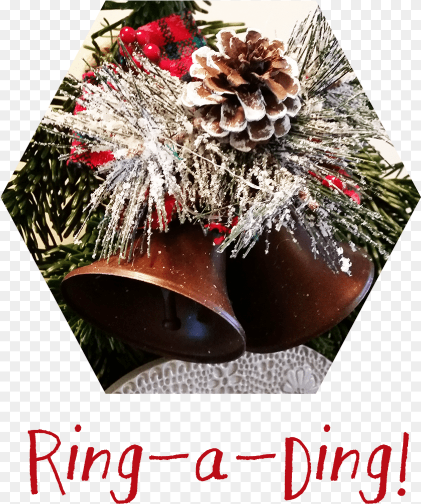Winter Greenery Ganache PNG
