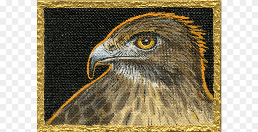Winter Hawk Ii Golden Eagle, Animal, Beak, Bird, Reptile Transparent PNG