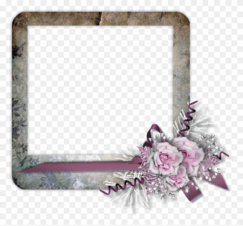 800x742 Зимние Воспоминания Freebie Cluster Frame Scrapbook Прозрачные Кластерные Рамки, Растение, Цветок, Цветение Png Скачать