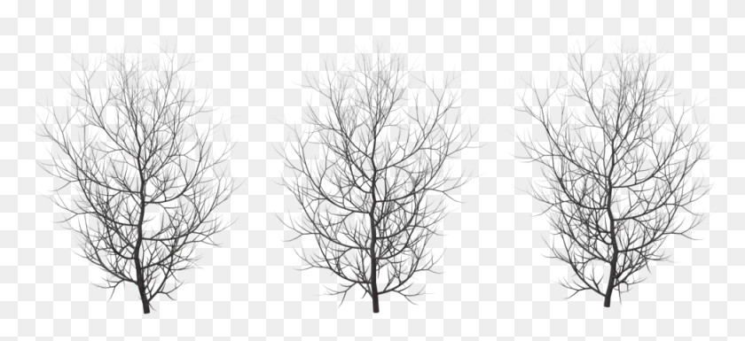 976x407 Winter Pic Monochrome, Nature, Outdoors, Tree HD PNG Download
