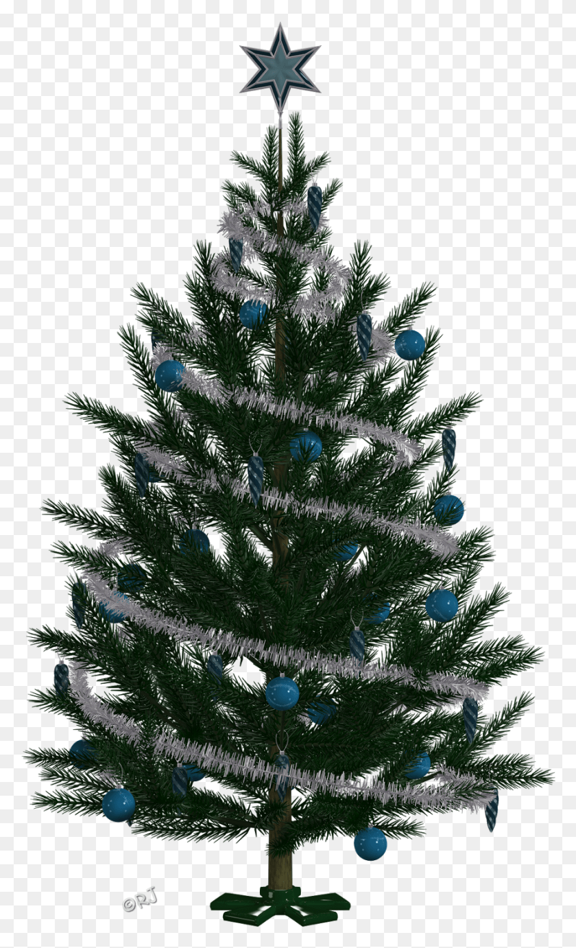 883x1497 Winter Trees Amp Christmas Trees, Christmas Tree, Tree, Ornament HD PNG Download