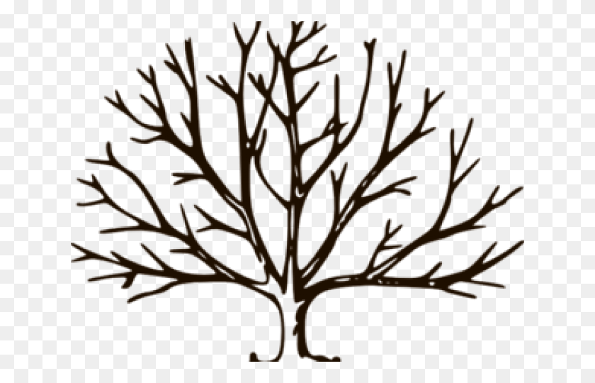 640x480 Winter Trees Cliparts Draw A Winter Tree, Plant, Tree Trunk HD PNG Download