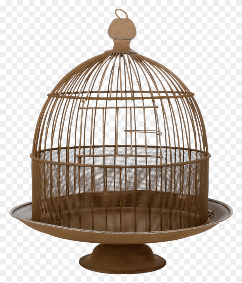 899x1066 Wire Domed Birdcage, Lamp, Sphere, Crystal Descargar Hd Png