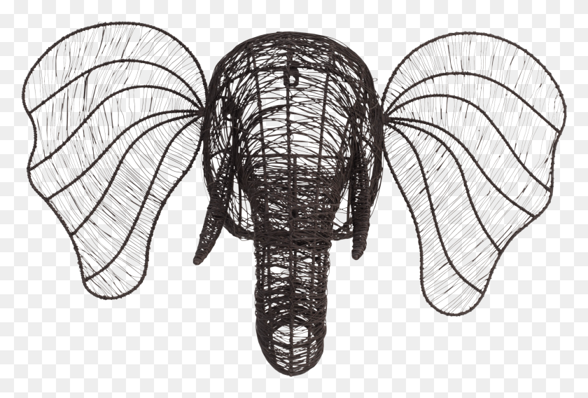 2062x1345 Wire Head Animal, Clothing, Apparel, Fossil HD PNG Download