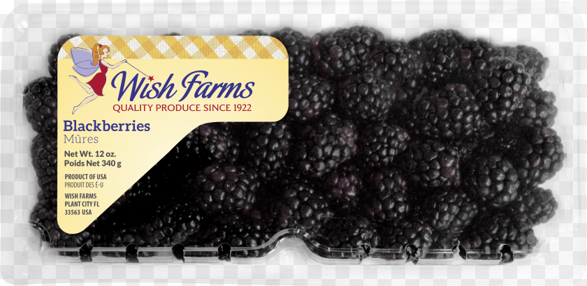 Wish Farms, Berry, Food, Fruit, Plant Transparent PNG