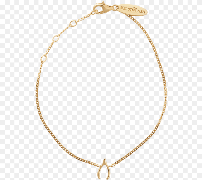 550x749 Wishbone Charm Bracelet Image Download Necklace, Accessories, Jewelry Transparent PNG