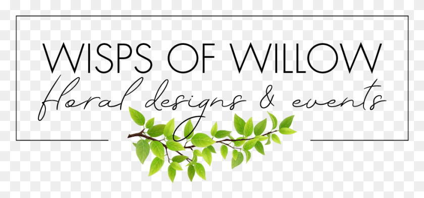 911x389 Wisps Of Willow Calligraphy, Leaf, Plant, Flower HD PNG Download