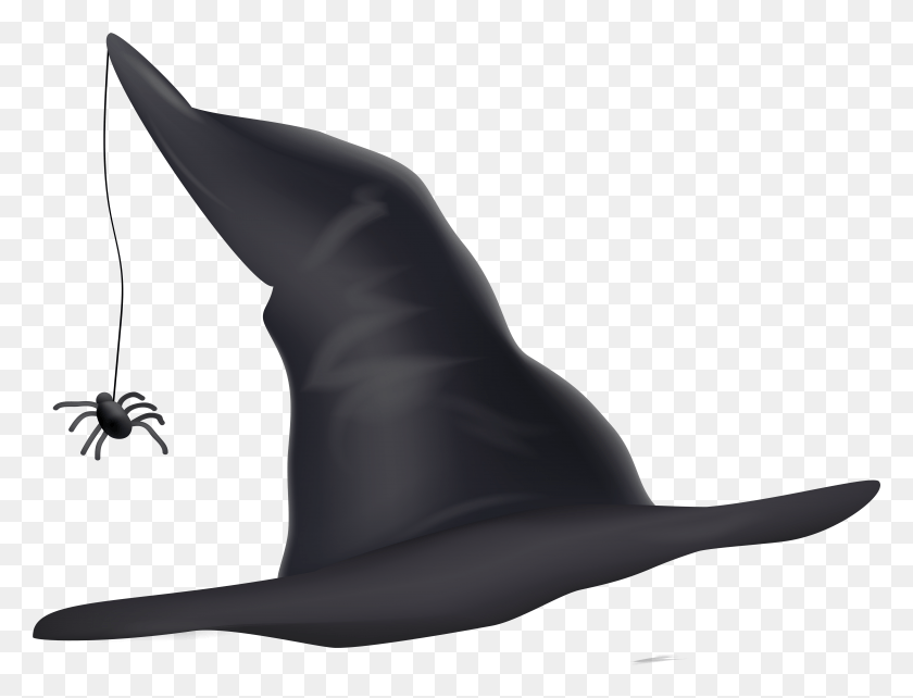 5940x4433 Witch Hat Clipart Transparent High, Sea Life, Animal, Mammal HD PNG Download