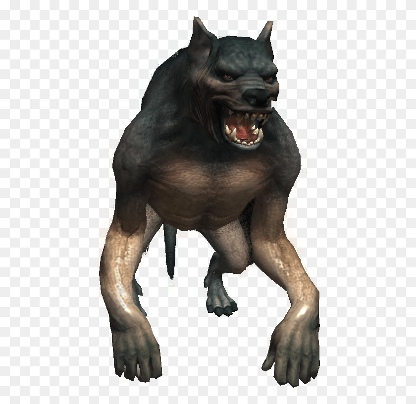 463x756 Witcher Werewolf, Animal, Dinosaur, Reptile HD PNG Download