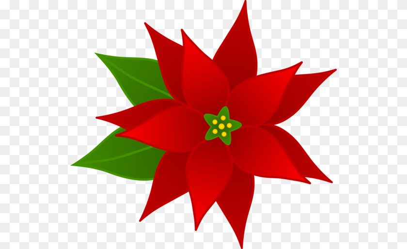 550x514 With Flower Holiday Clipart Explore Pictures, Leaf, Dahlia, Plant, Petal PNG