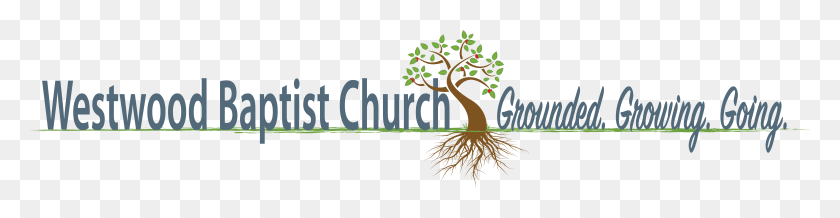 6523x1328 With Jesus You Win Birchwood Highland, Root, Plant, Tree HD PNG Download