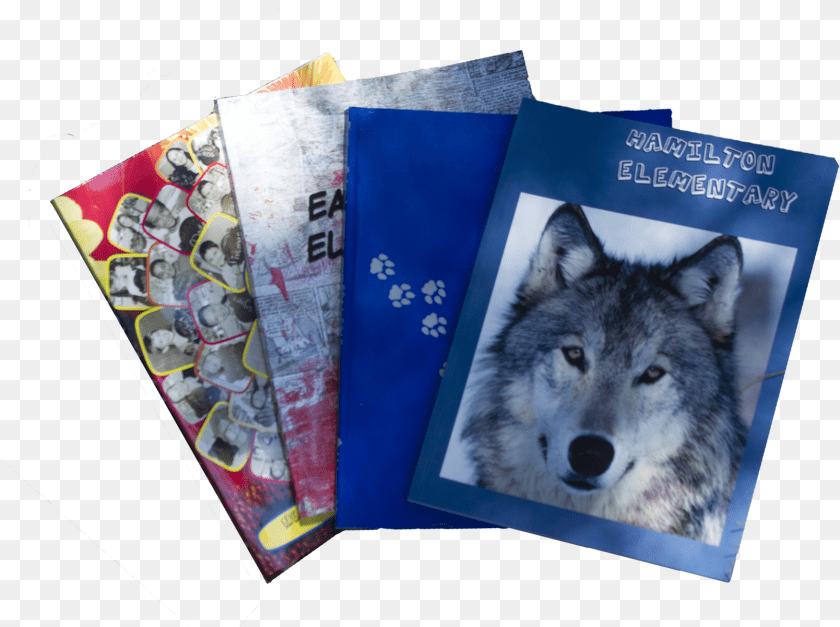 1609x1201 Wolf, Animal, Canine, Dog, Mammal Clipart PNG
