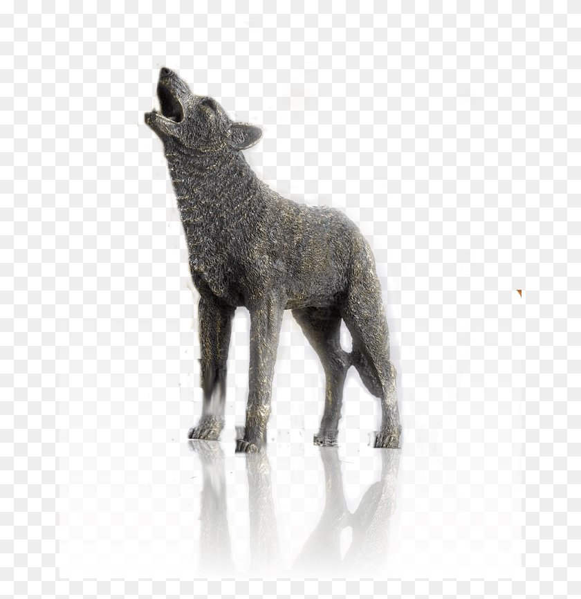 669x806 Волк Большая Овца, Млекопитающее, Животное Hd Png Скачать