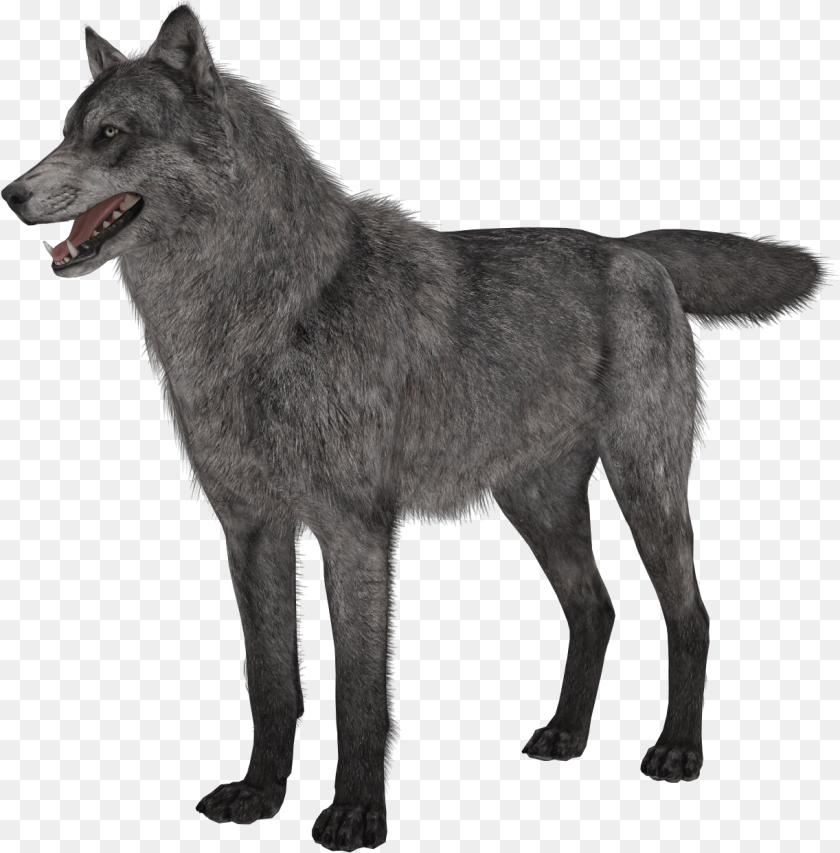 1223x1242 Wolf Clipart Background Call Of Duty Ghosts Wolves, Animal, Mammal, Canine, Dog Transparent PNG