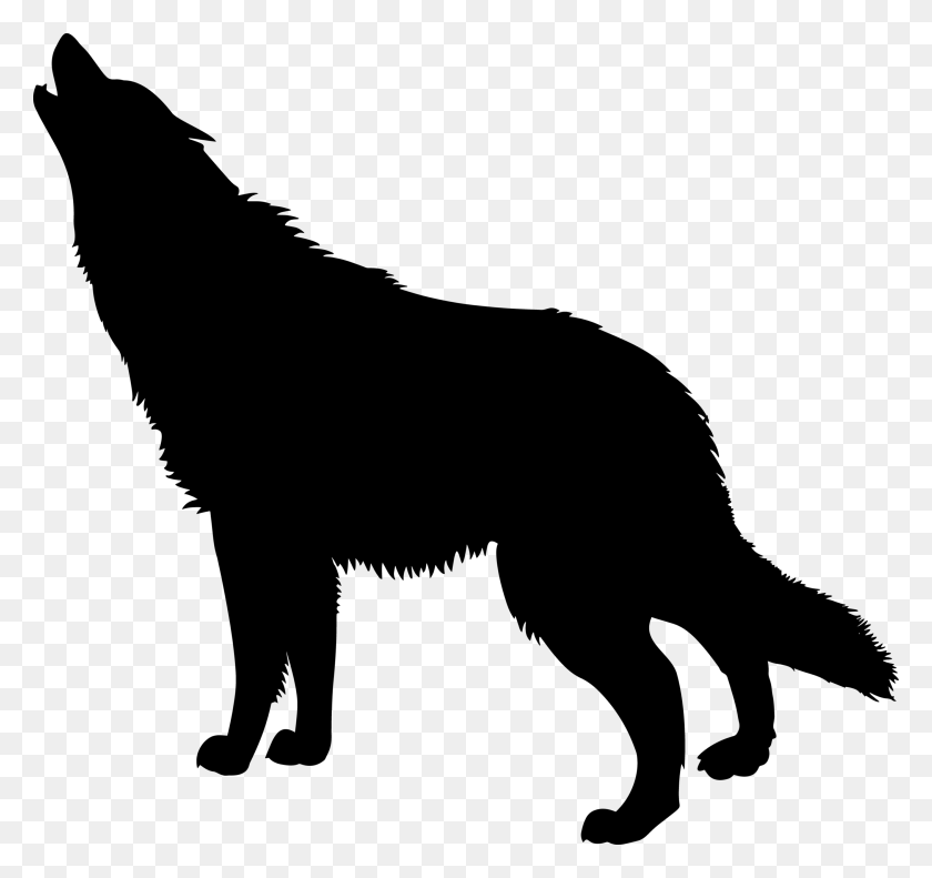 1560x1462 Wolf Dog Silhouette Transparent Background, Gray, World Of Warcraft HD PNG Download