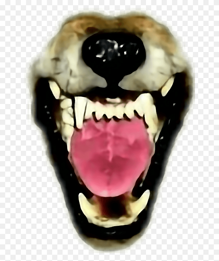 656x944 Wolf Ftestickers Mouth Teeth Fangs Snarl Werewolf Grey Wolf Snarling, Lip, Jaw, Rose HD PNG Download