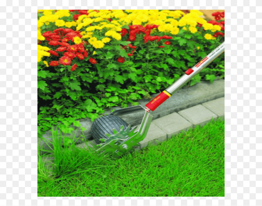 601x601 Wolf Garten Lawn Edge Amp Trimmer Przycinarka Do Brzegw Trawnika, Tool, Grass, Plant HD PNG Download
