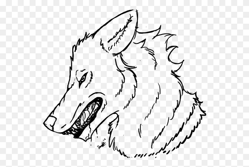 553x504 Wolf Howl Line Art, Gray, World Of Warcraft HD PNG Download