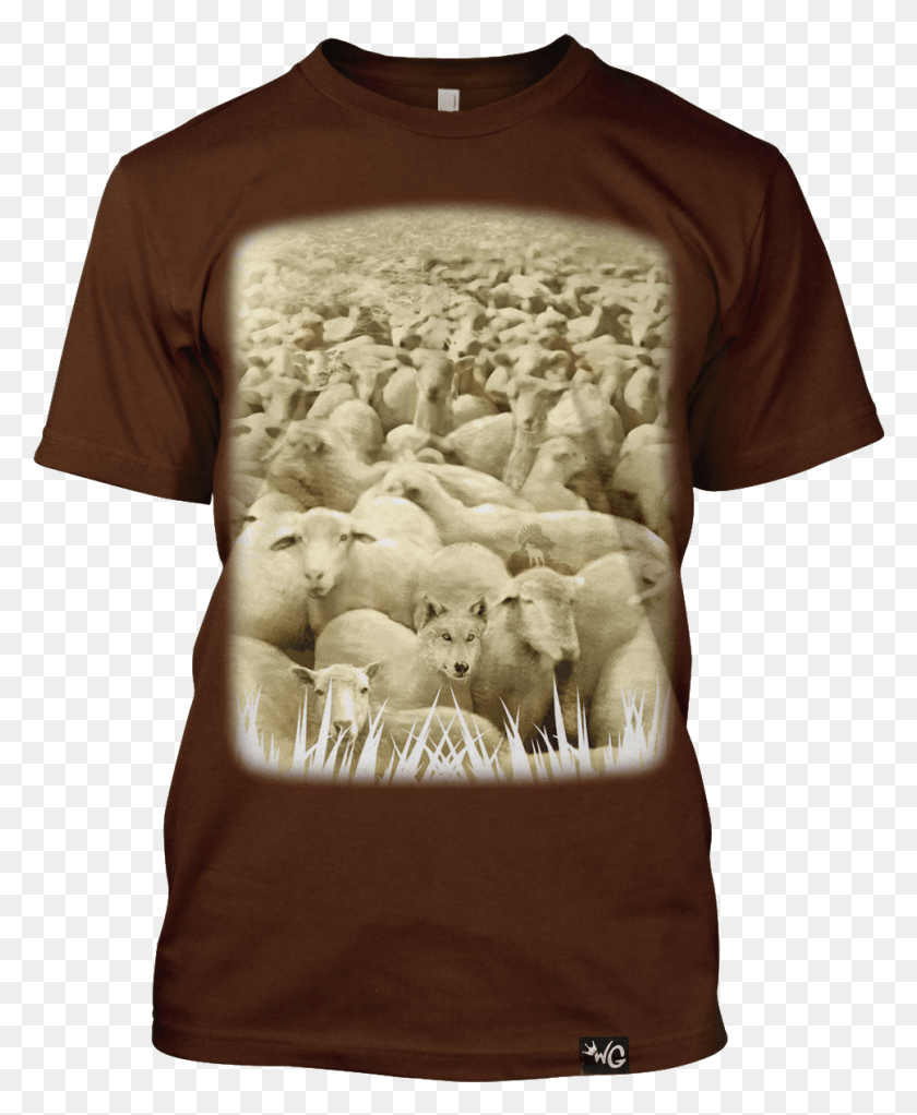 967x1193 Descargar Png Wolf In Sheep39S Clothing Rebaño, Ropa, Camiseta, Persona Hd Png