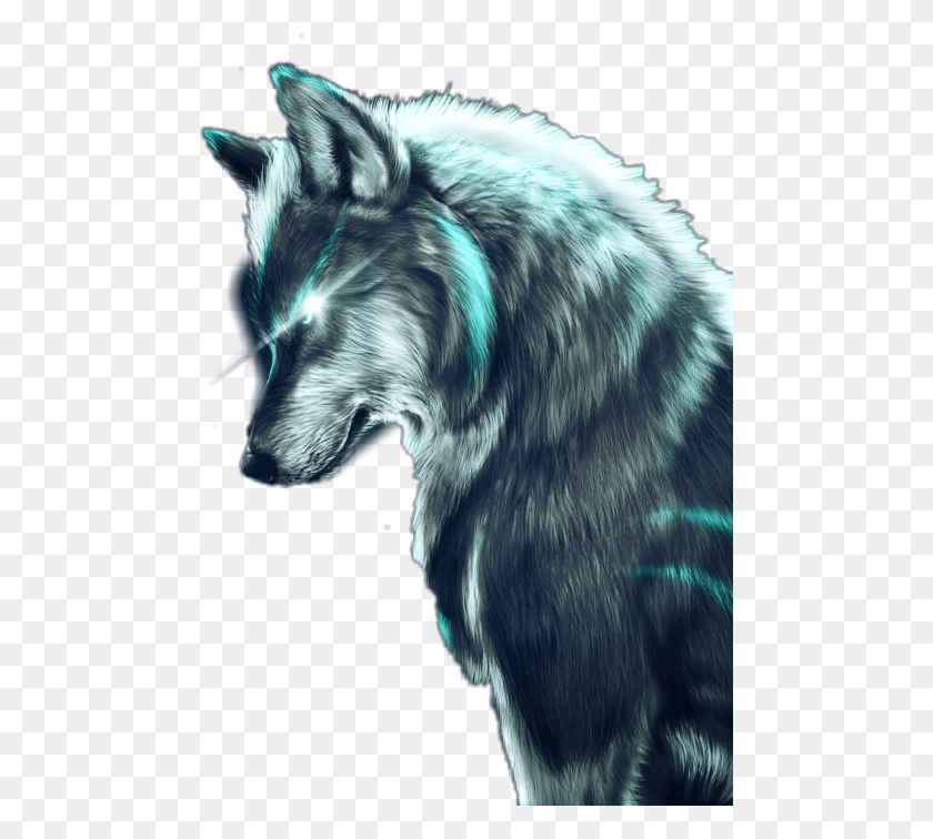 480x696 Wolf On The Moon, Mammal, Animal, Dog HD PNG Download