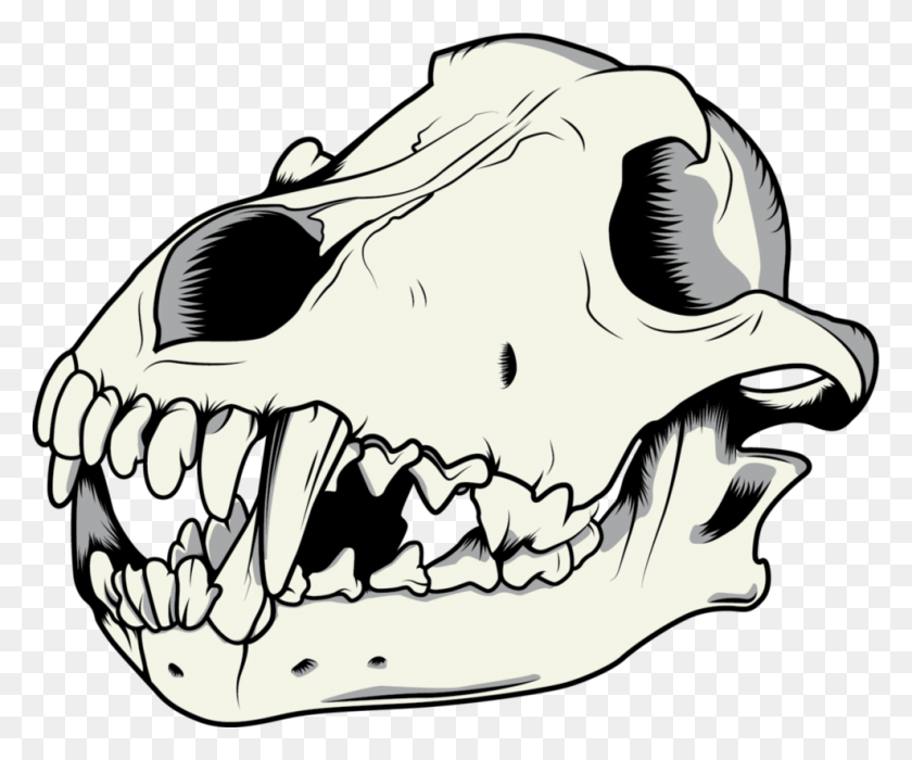 987x810 Wolf Skull Vector By Niktollison Wolf Skull, Teeth, Mouth, Lip HD PNG Download