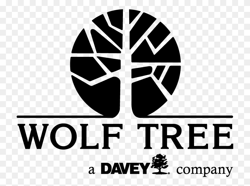 729x565 Wolf Tree Inc Davey Tree Expert Co, Gray, World Of Warcraft HD PNG Download