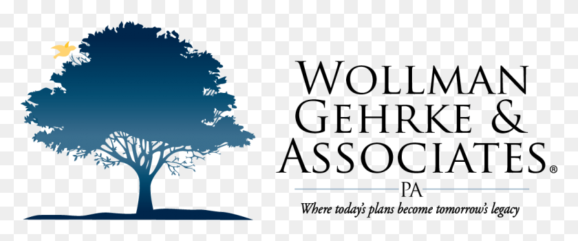 1090x406 Wollman Gehrke Amp Associates Pa Tree, Text, Outdoors, Plant HD PNG Download