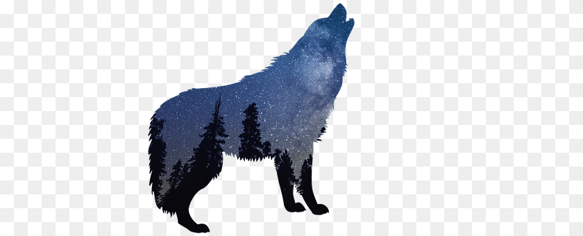Wolves Animal, Mammal, Wolf, Coyote Clipart PNG