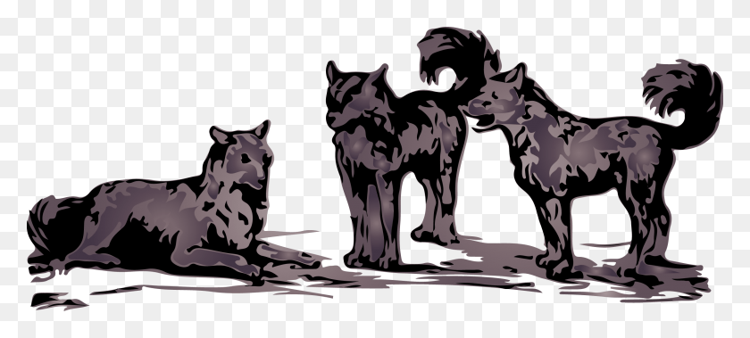 2463x1010 Wolves Gray Wolf Wildlife Animal 1093534 Wolf Pack Transparent Background, Mammal, Pet, Canine HD PNG Download