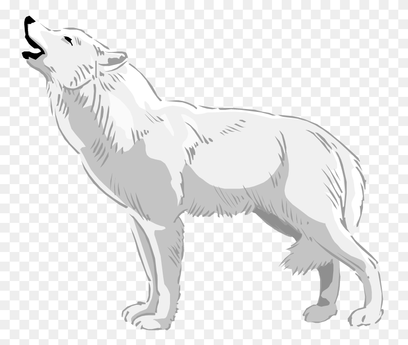 750x652 Волки Изображения Роялти Бесплатно Огромные Бесплатные Картинки Белый Волк, Млекопитающее, Животное Hd Png Скачать