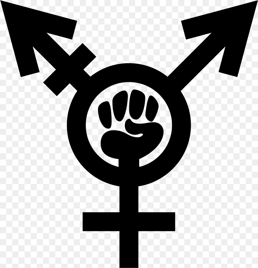 2152x2239 Woman Symbol Woman Symbol, Gray Transparent PNG