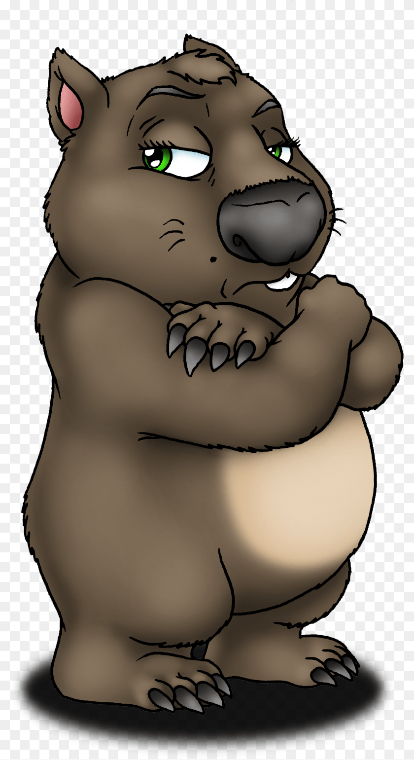 798x1541 Wombat Wombats, Baby, Person, Animal, Mammal Transparent PNG