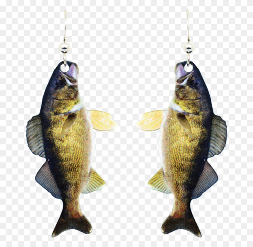 852x832 Women39s Fish Earrings Earrings, Perch, Animal HD PNG Download