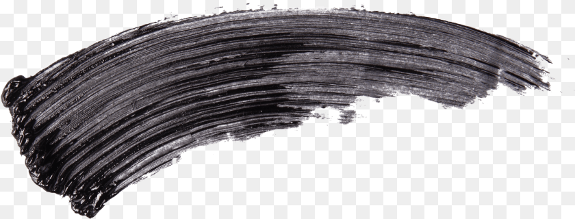 Wood, Animal, Clam, Food, Invertebrate Transparent PNG
